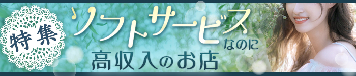 ソフトサービスのお店特集